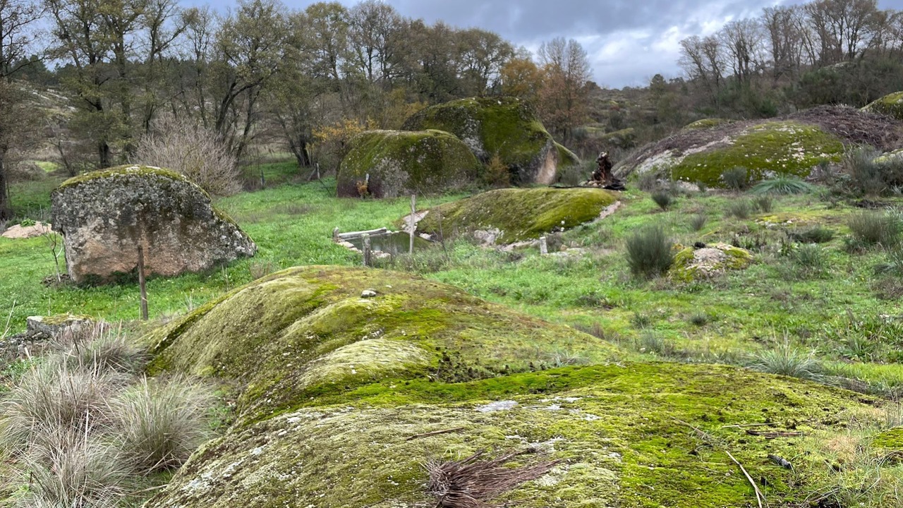 Photo of Outdoor in Guarda District