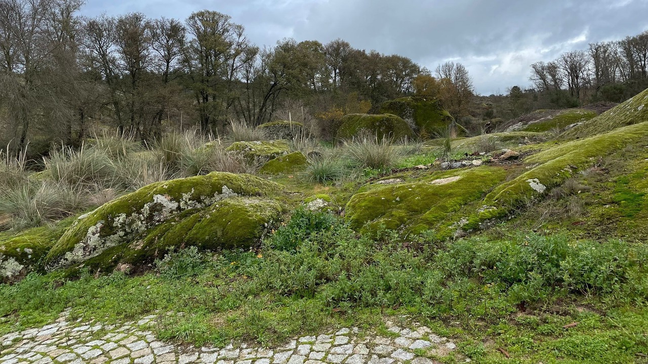 Photo of Outdoor in Guarda District