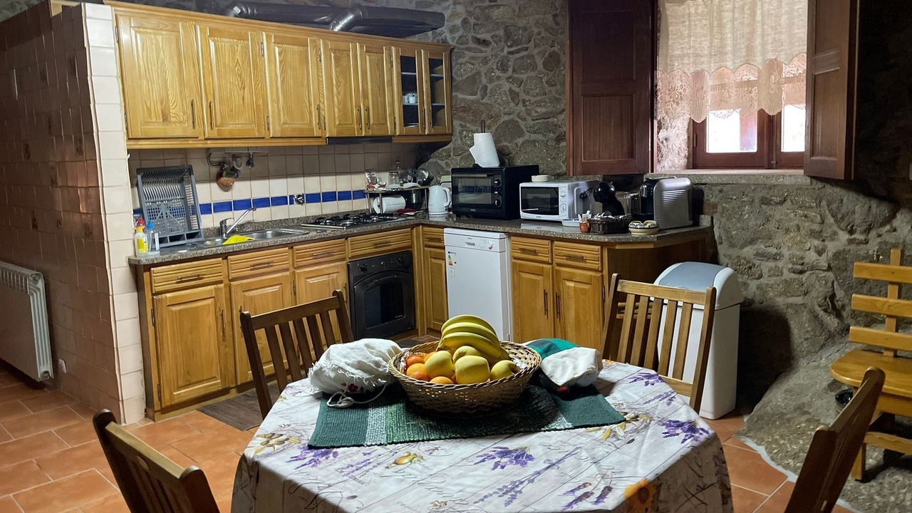 Photo of Kitchen in Guarda District