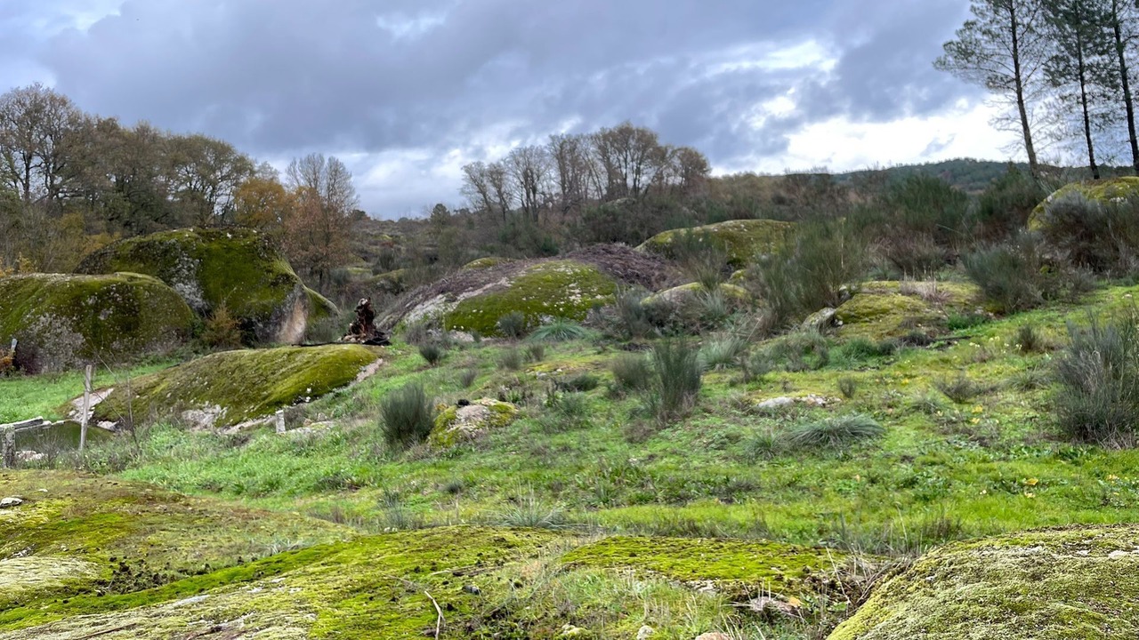 Photo of Outdoor in Guarda District