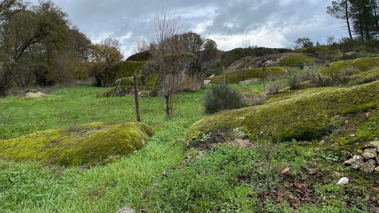 Photo of Outdoor in Guarda District