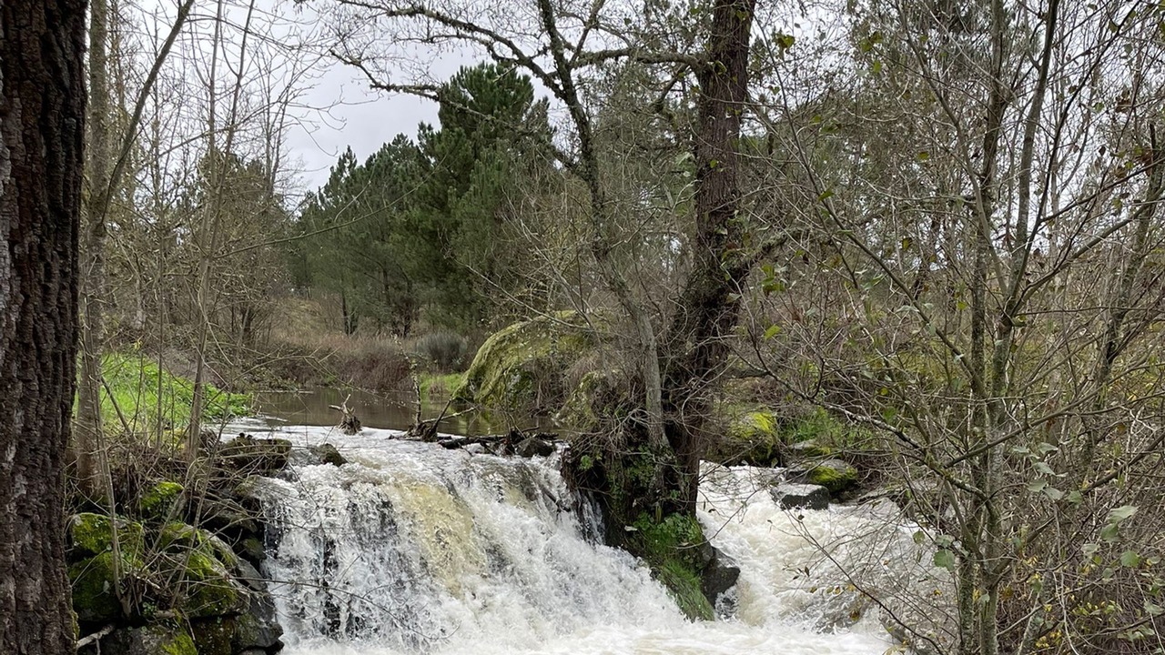 Photo of Outdoor in Guarda District