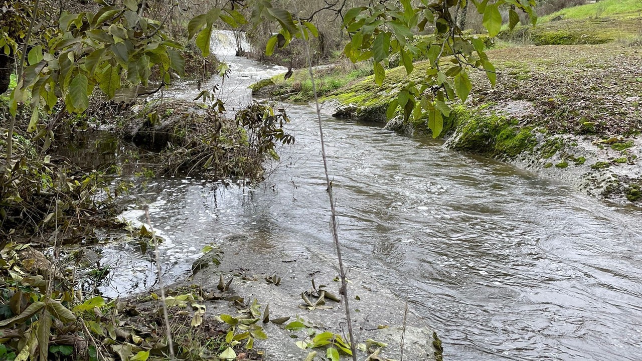 Photo of Outdoor in Guarda District