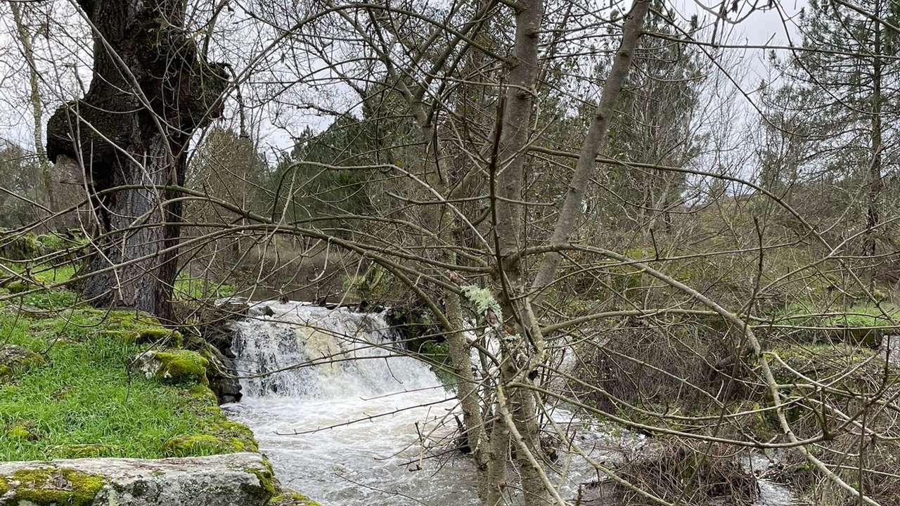 Photo of Others in Guarda District