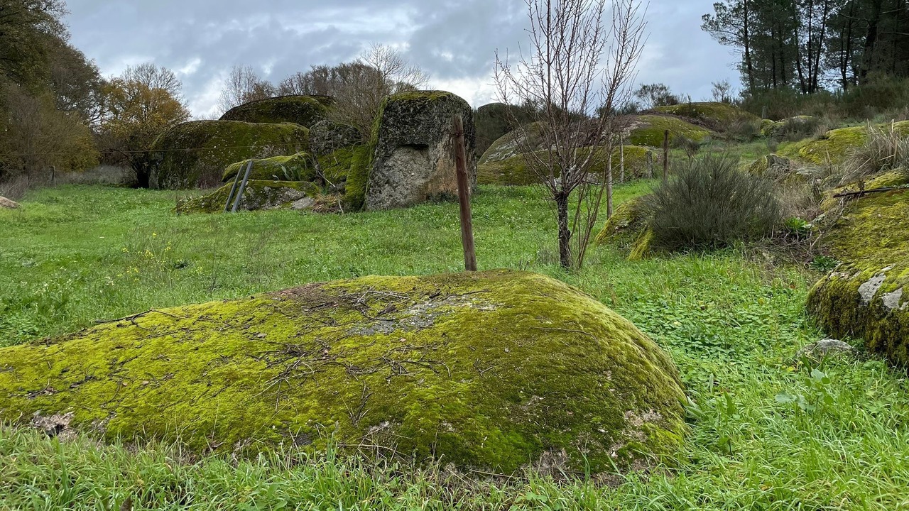 Photo of Outdoor in Guarda District