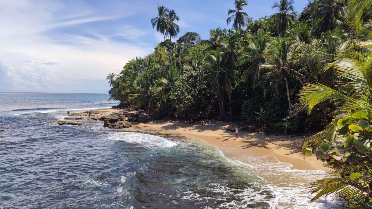 Photo of Others in Puerto Viejo de Talamanca