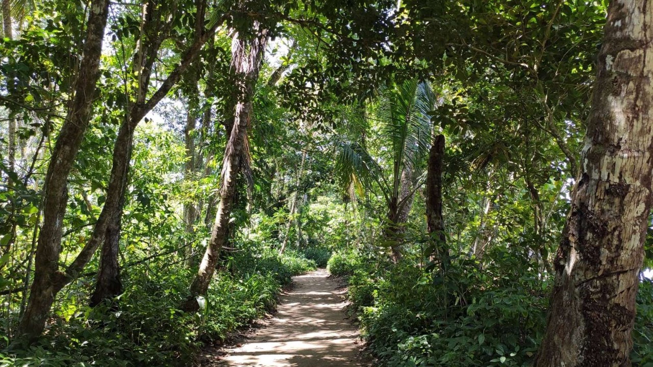 Photo of Outdoor in Puerto Viejo de Talamanca