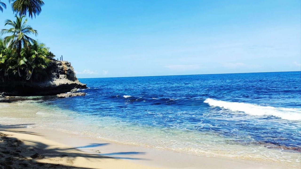 Photo of Others in Puerto Viejo de Talamanca