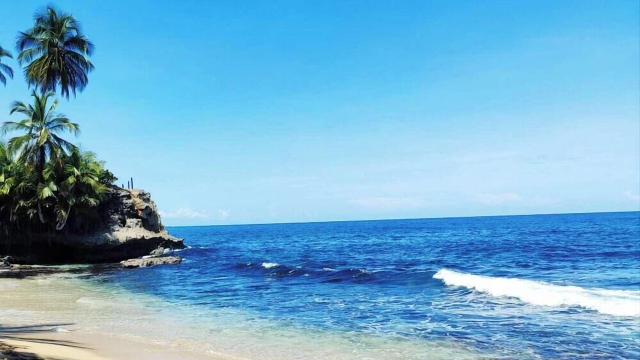 Photo of Others in Puerto Viejo de Talamanca