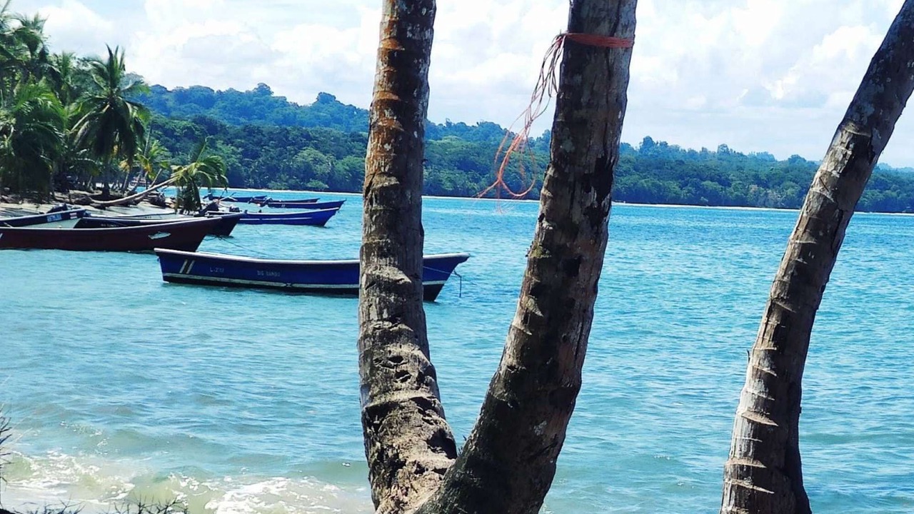 Photo of Others in Puerto Viejo de Talamanca