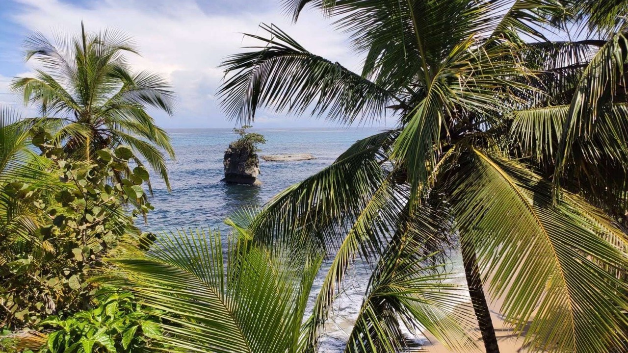 Photo of Others in Puerto Viejo de Talamanca