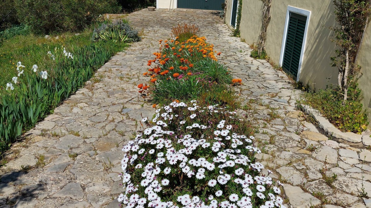 Photo of Others in Loule