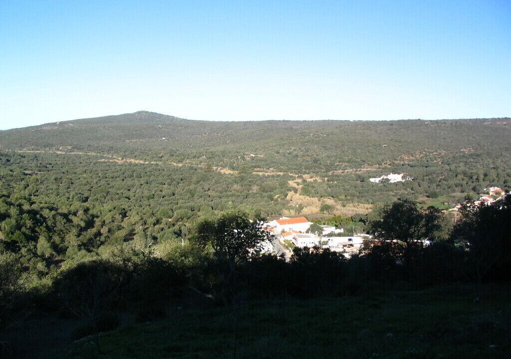 Photo of Others in Loule