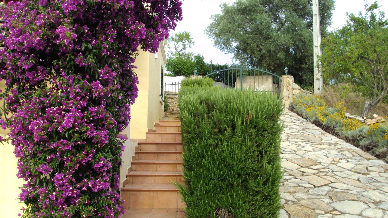 Photo of Others in Loule