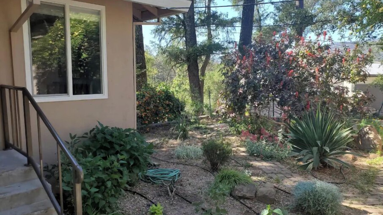 Photo of Outdoor in Deer Park