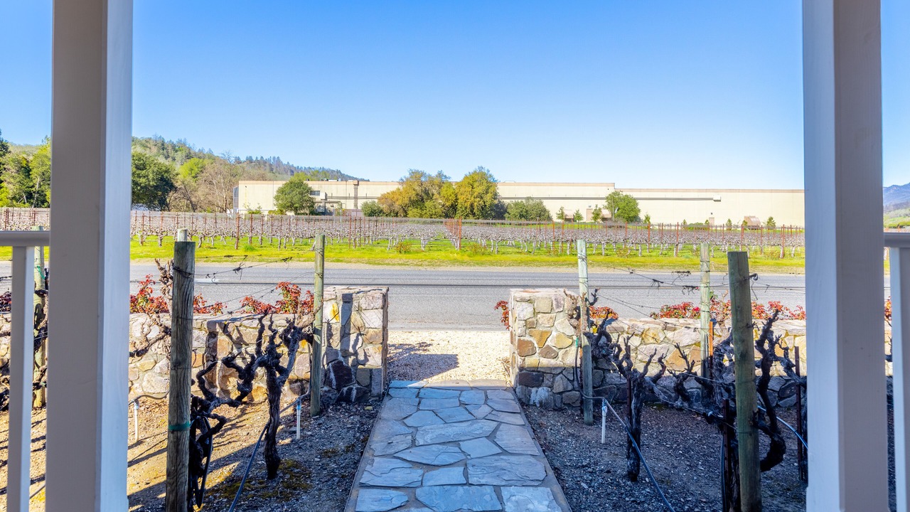 Photo of Others in St. Helena