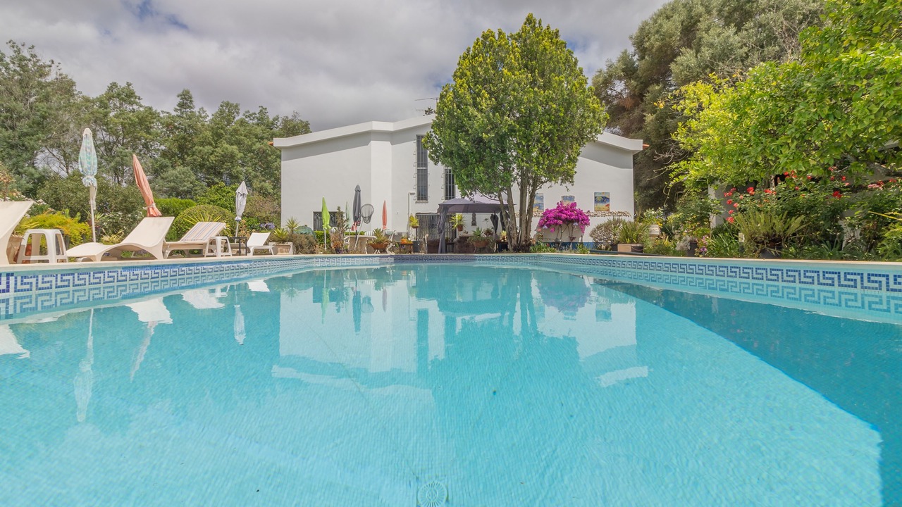 Photo of Others in Bravura