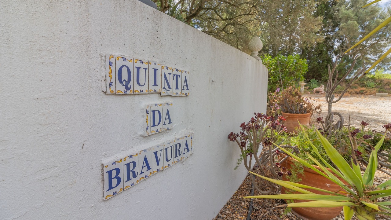 Photo of Others in Bravura