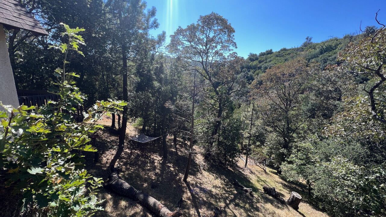 Photo of Others in Julian