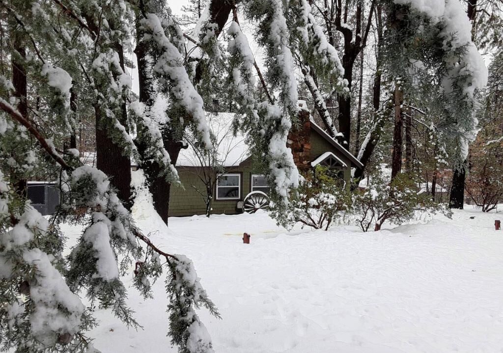 Photo of Outdoor in Idyllwild