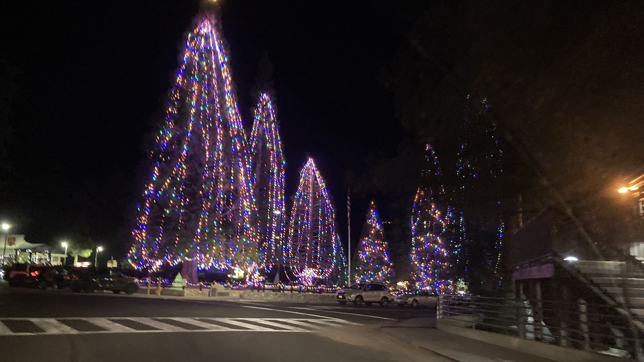 Photo of Outdoor in Idyllwild