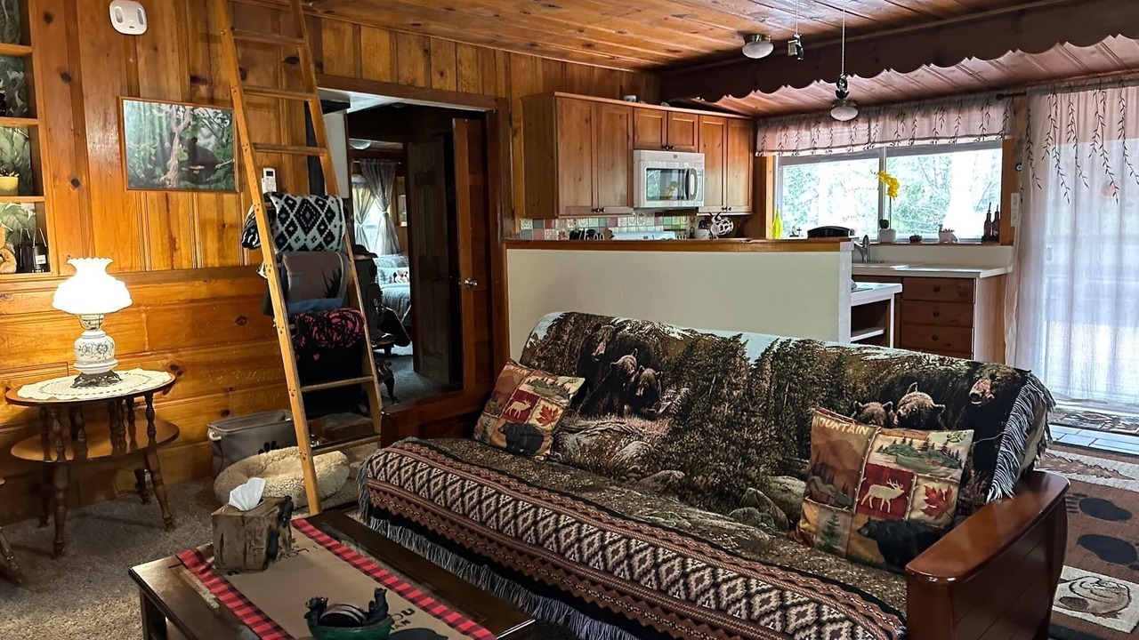 Photo of Livingroom in Idyllwild