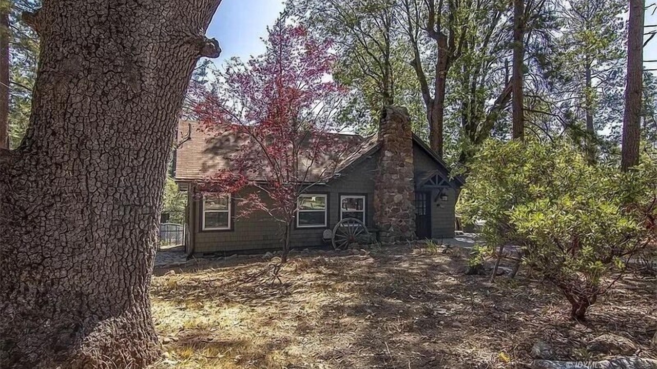 Photo of Outdoor in Idyllwild