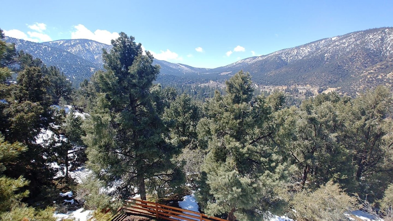 Photo of Others in Pine Mountain Club
