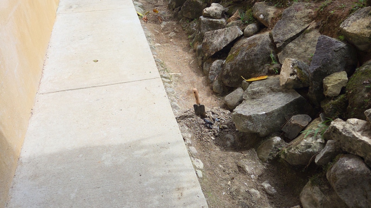 Photo of Outdoor in Ballena