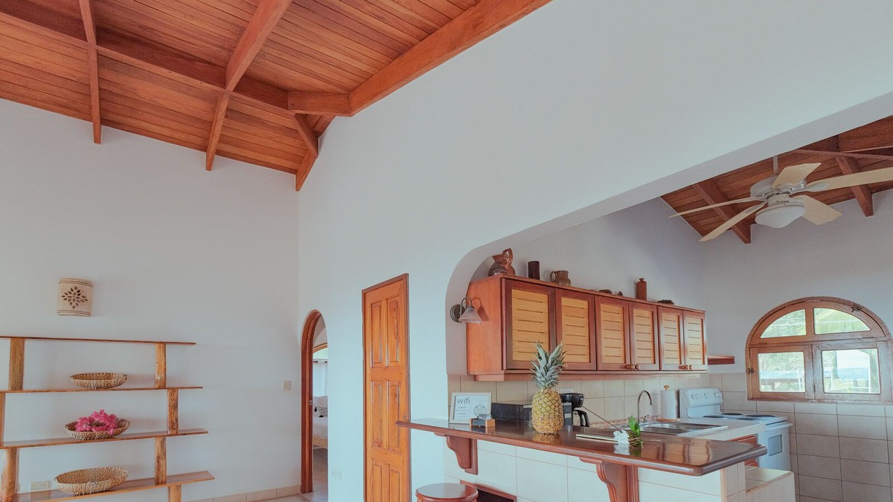 Photo of Kitchen in Nosara