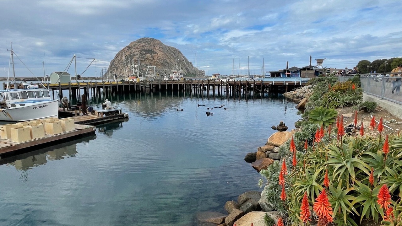 Photo of Others in Morro Bay