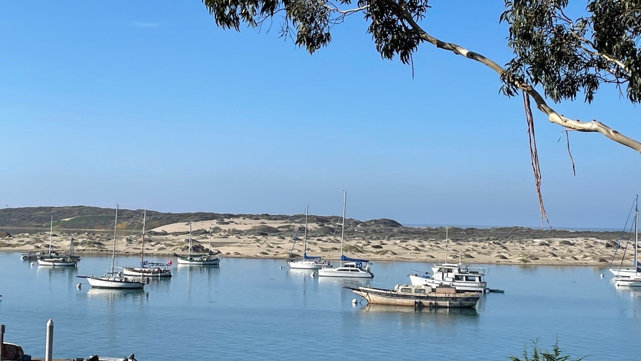 Photo of Others in Morro Bay