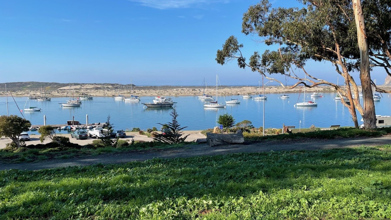 Photo of Others in Morro Bay