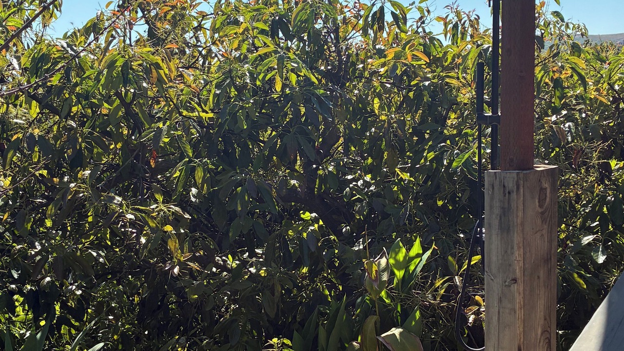 Photo of Outdoor in Goleta