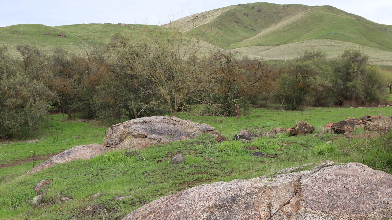 Photo of Others in Woodlake