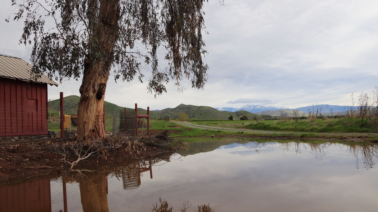 Photo of Others in Woodlake