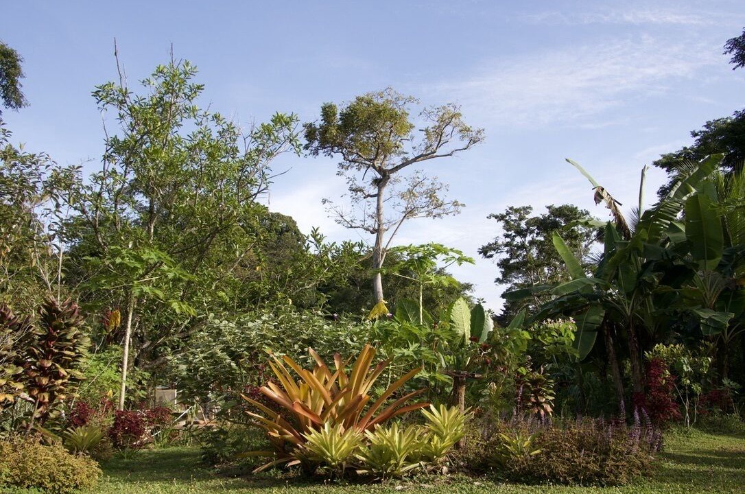 Photo of Outdoor in Manzanillo