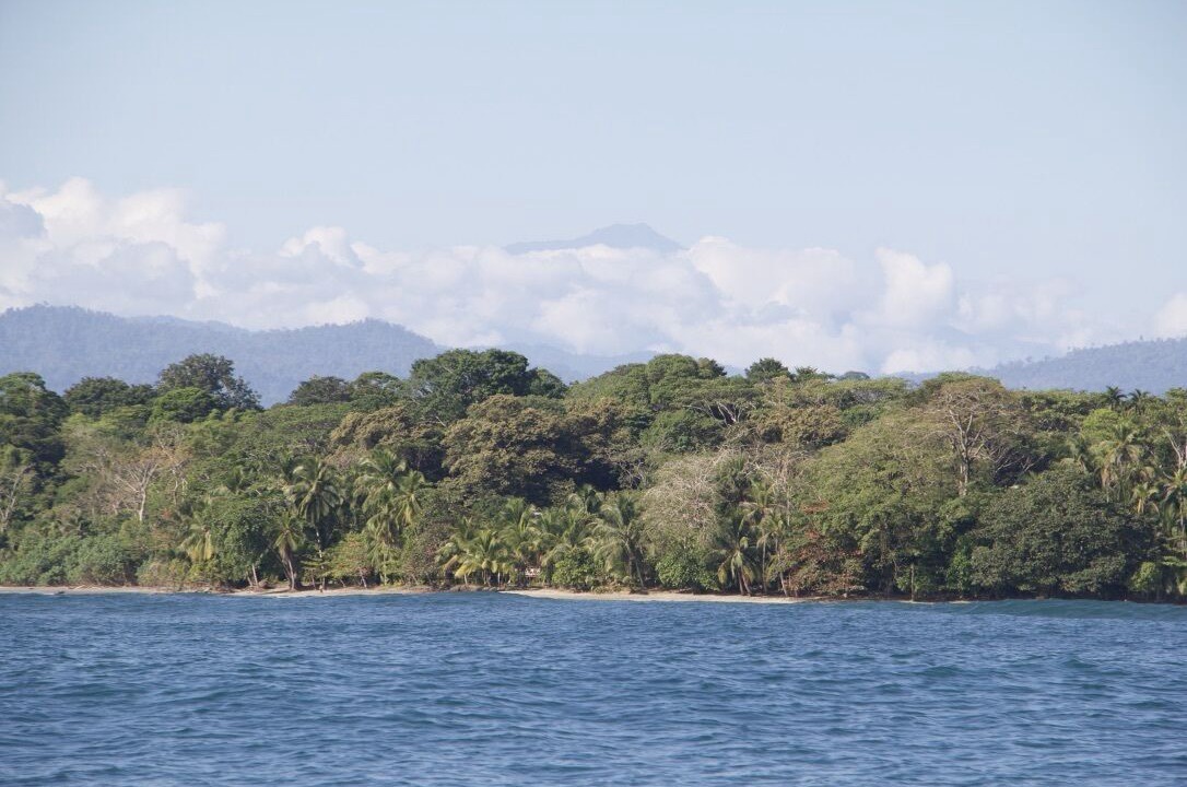 Photo of Others in Manzanillo