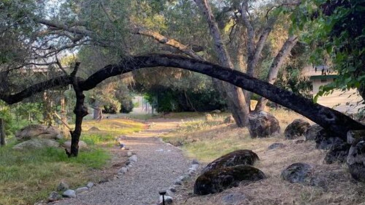 Photo of Outdoor in Three Rivers