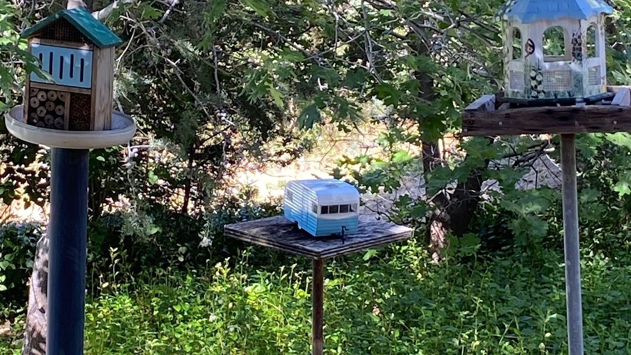 Photo of Others in Julian