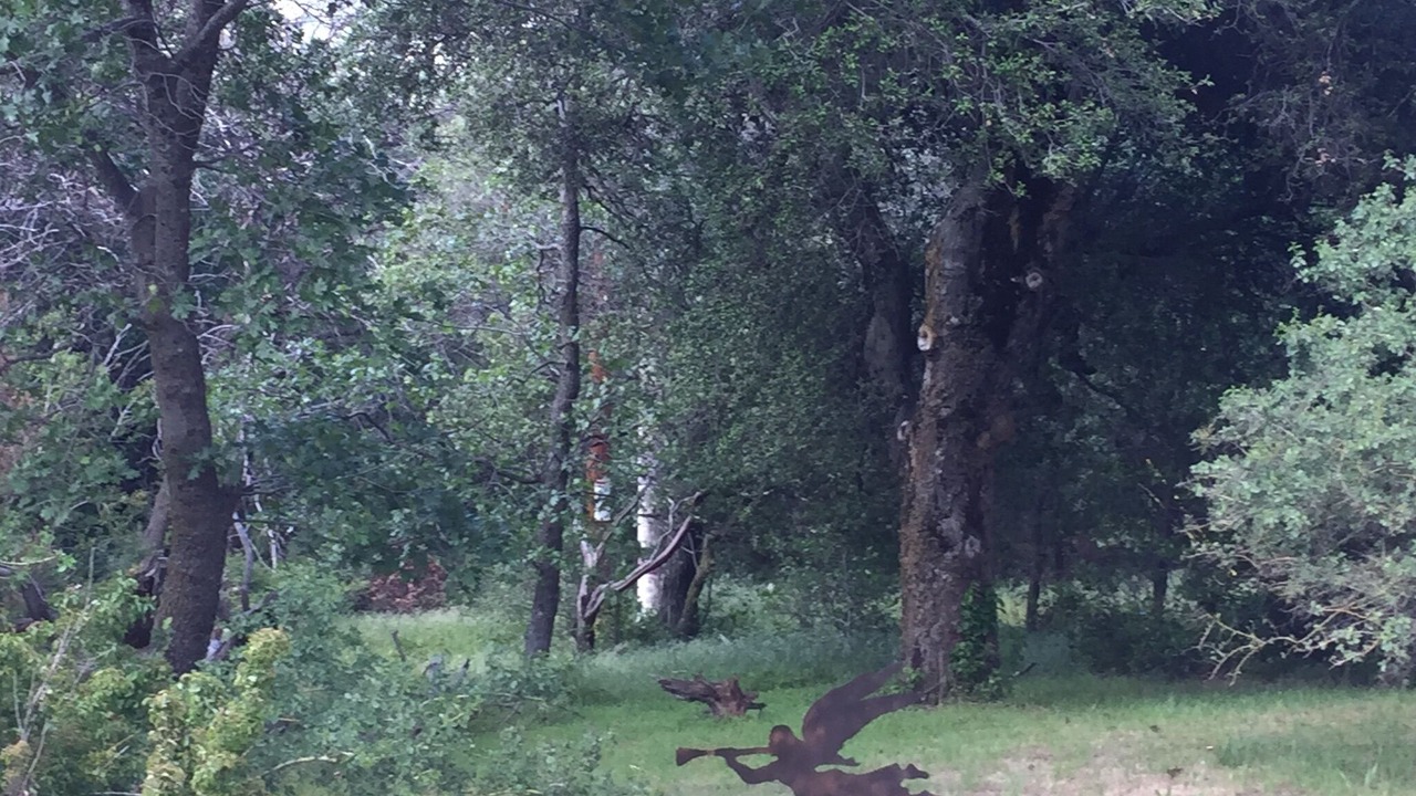 Photo of Outdoor in Julian