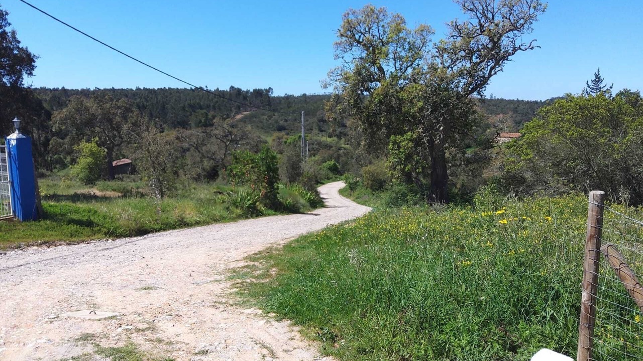 Photo of Outdoor in Sao Teotonio