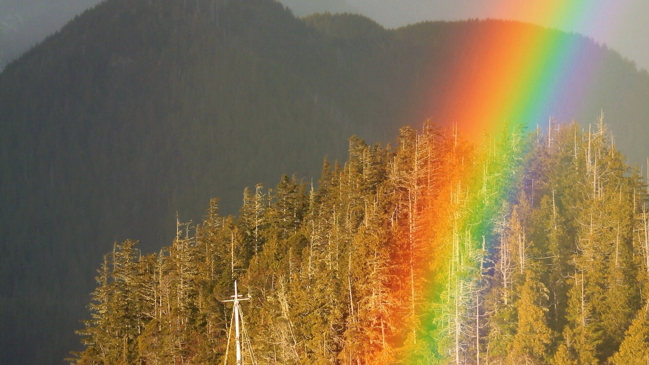 Photo of Others in Ucluelet