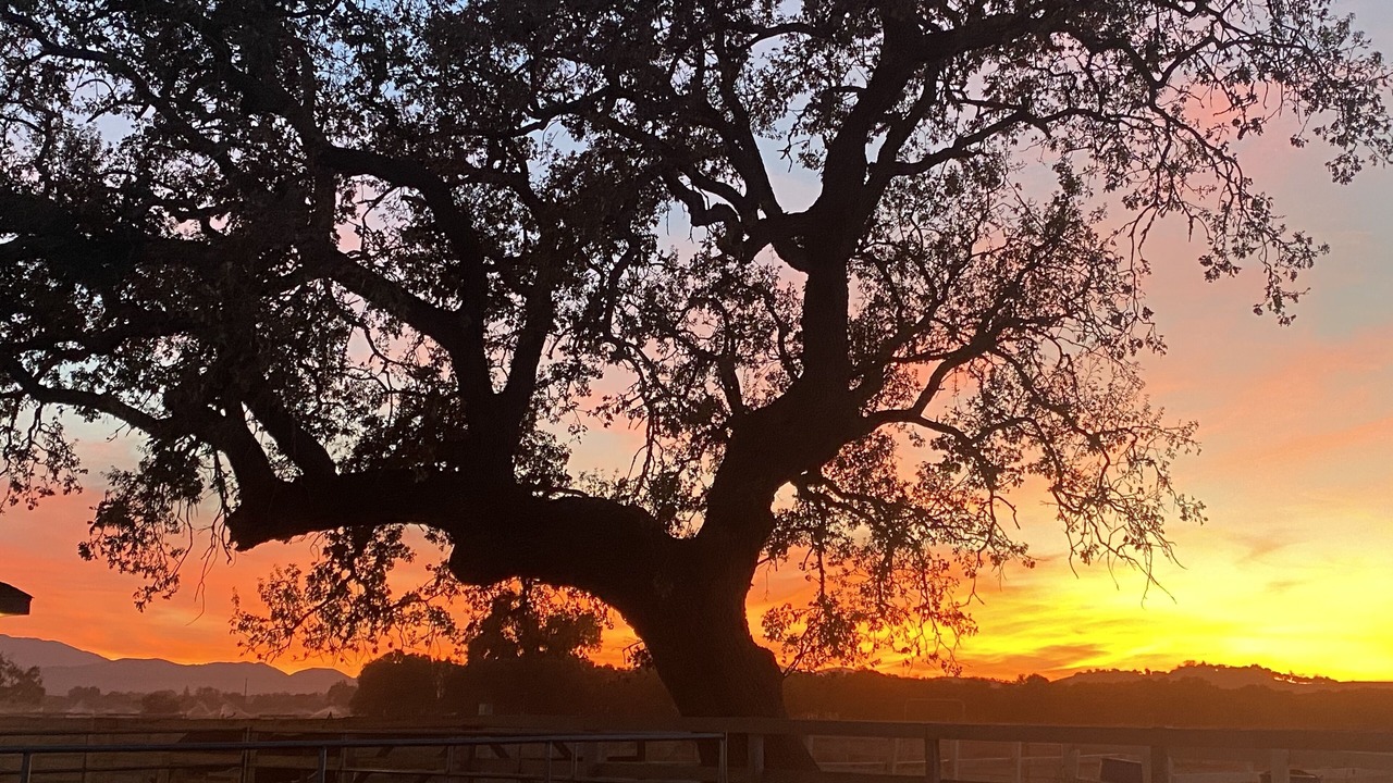 Photo of Others in Solvang