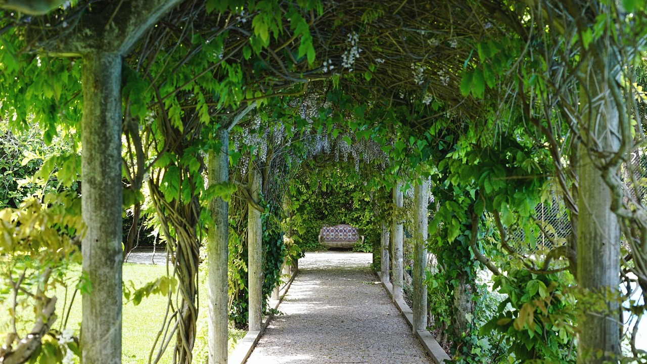 Photo of Outdoor in Vila de Cucujaes
