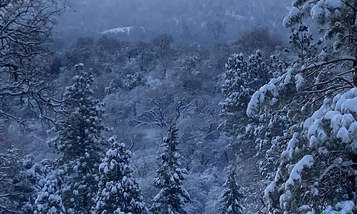 Photo of Outdoor in Posey