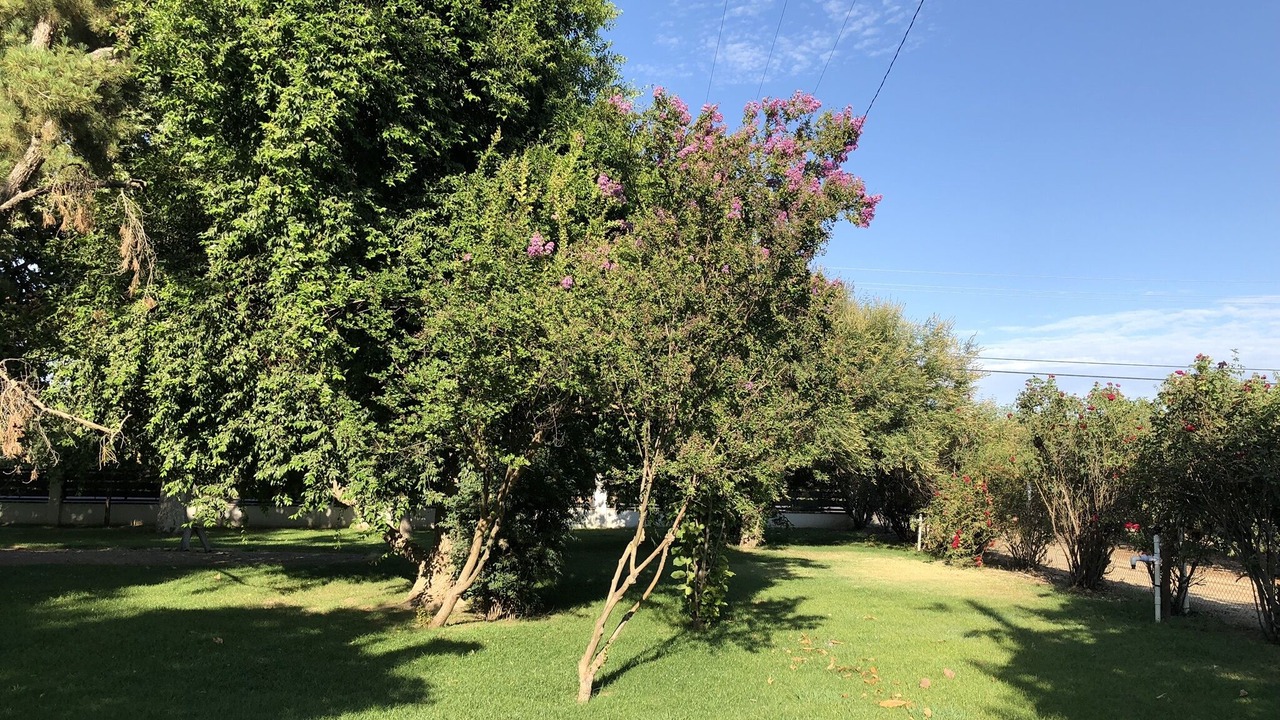 Photo of Outdoor in Rosedale