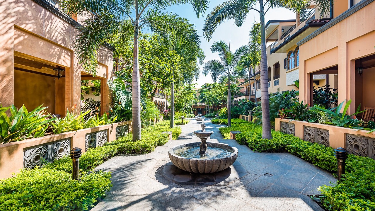 Photo of Outdoor in Playa Langosta
