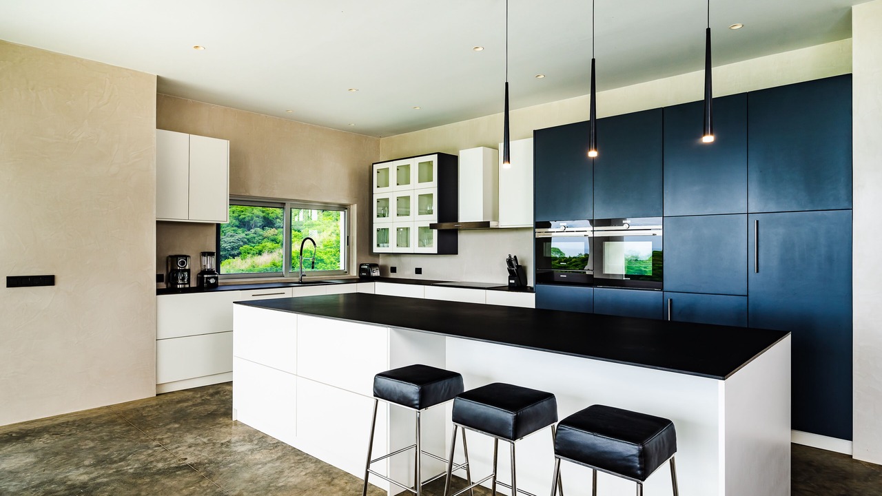 Photo of Kitchen in Black Beauty