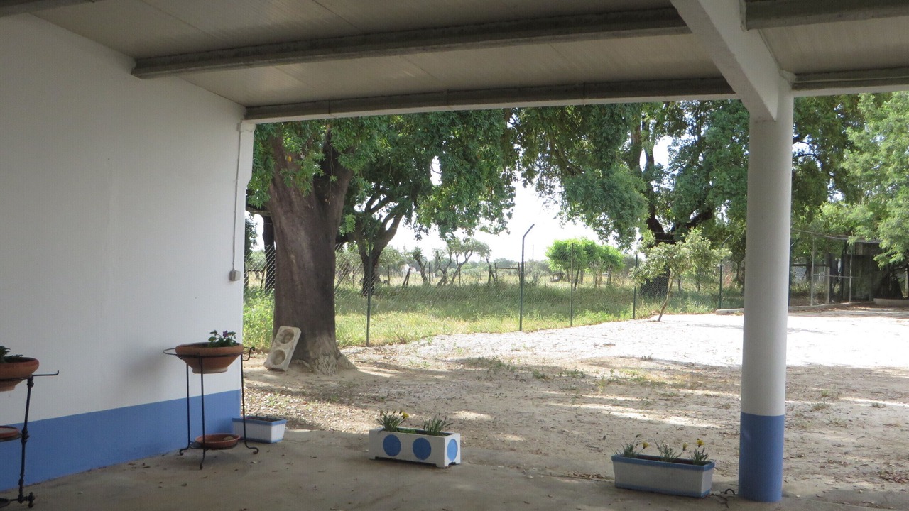 Photo of Outdoor in Evora